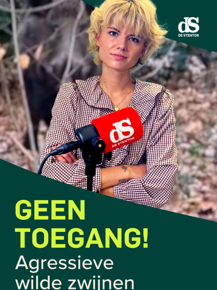 @De Stentor