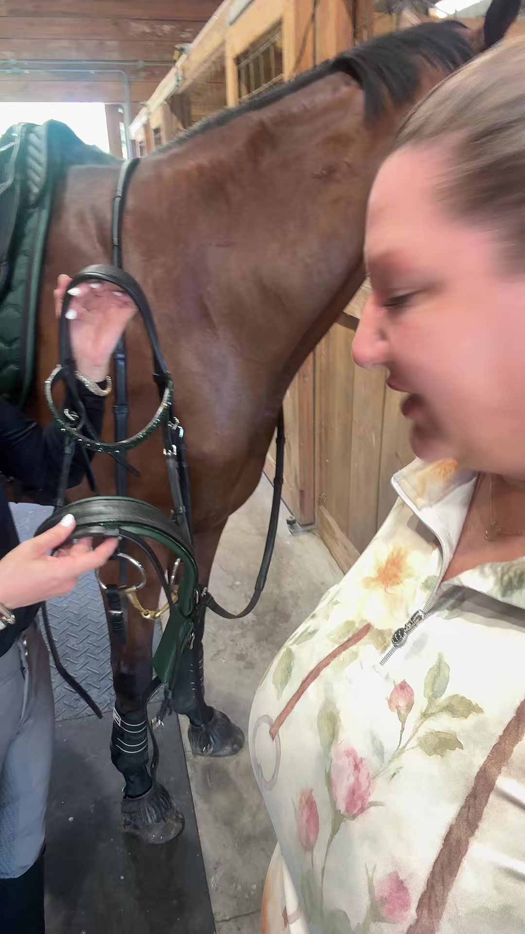 @MindsetEquestrian