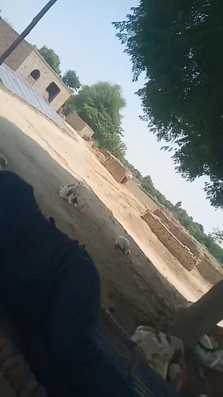 @M Yousaf,kanjin