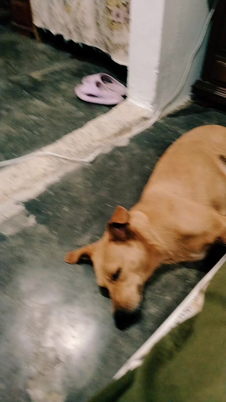 @❤️Lul&uacute;❤️