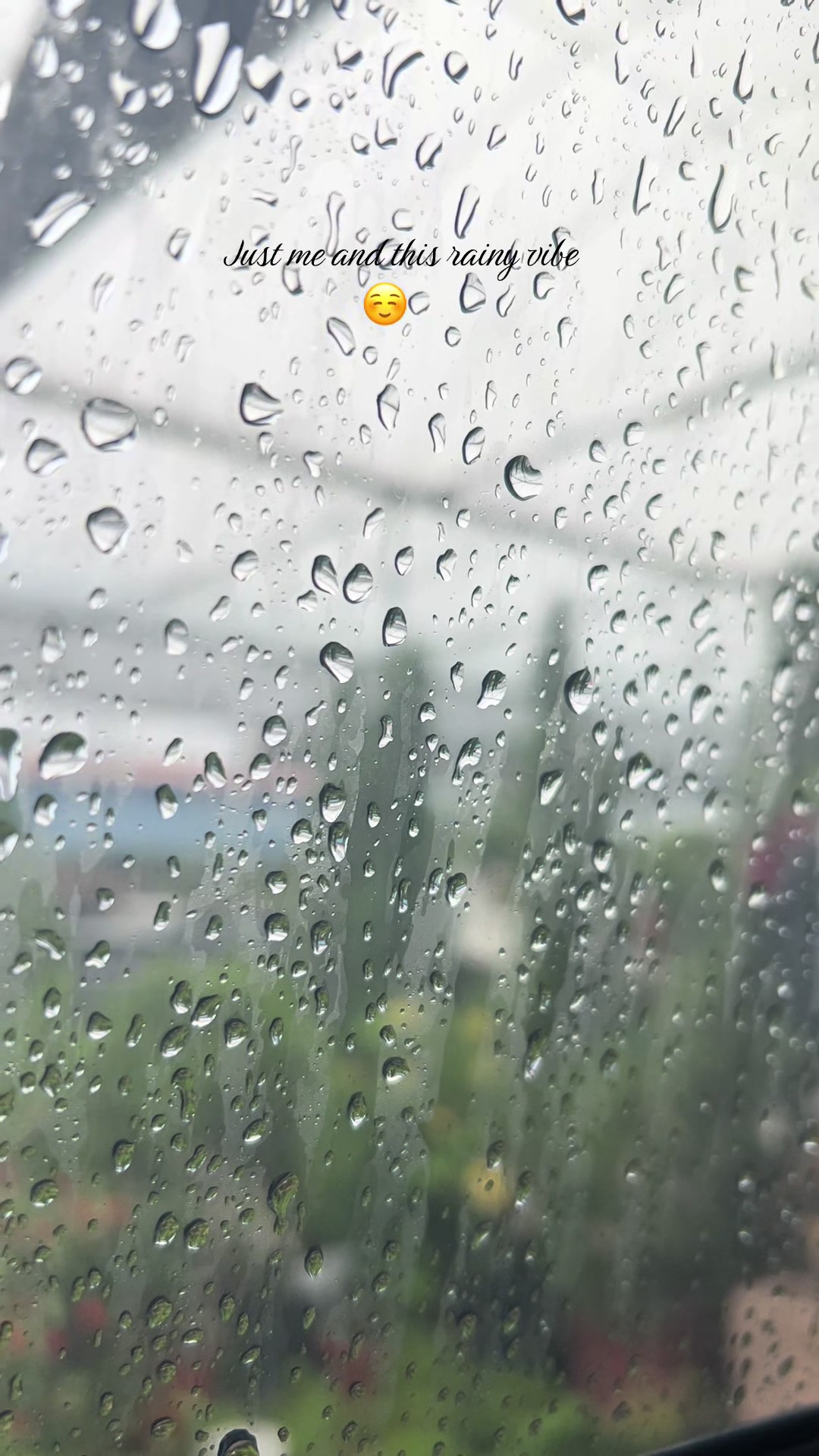 @YMUHcTEL💛🖤🕊️😇