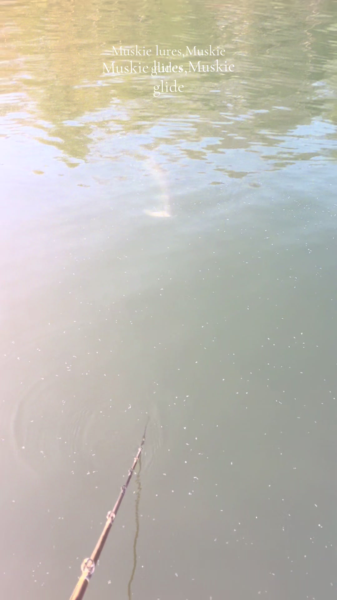 @JW Lures