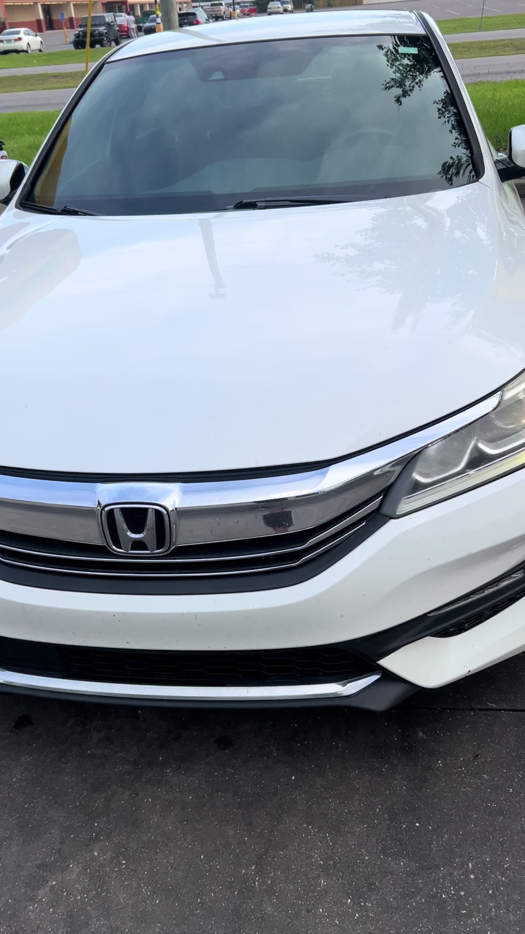 @Fly guy detailing