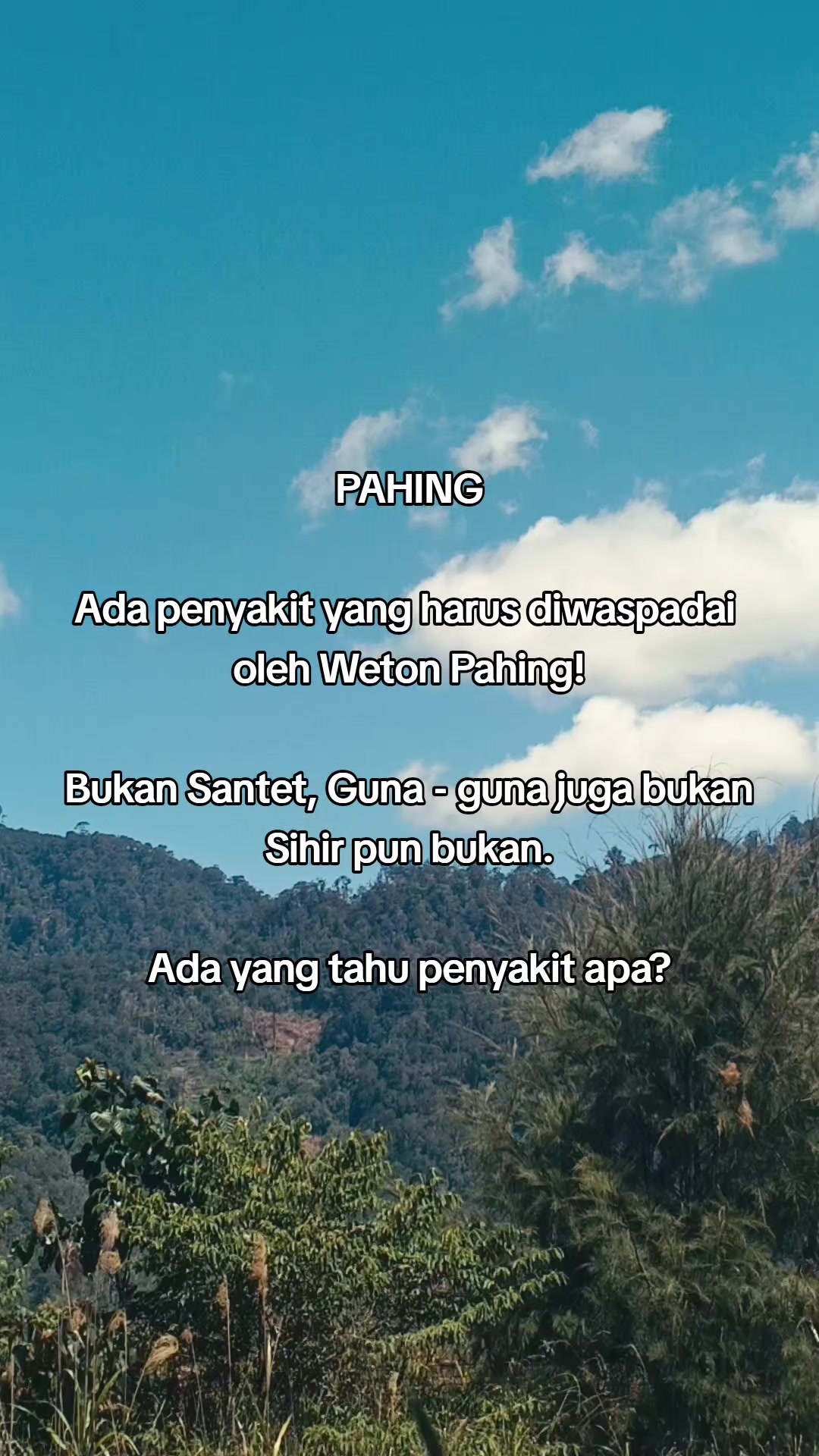 @Ardi project