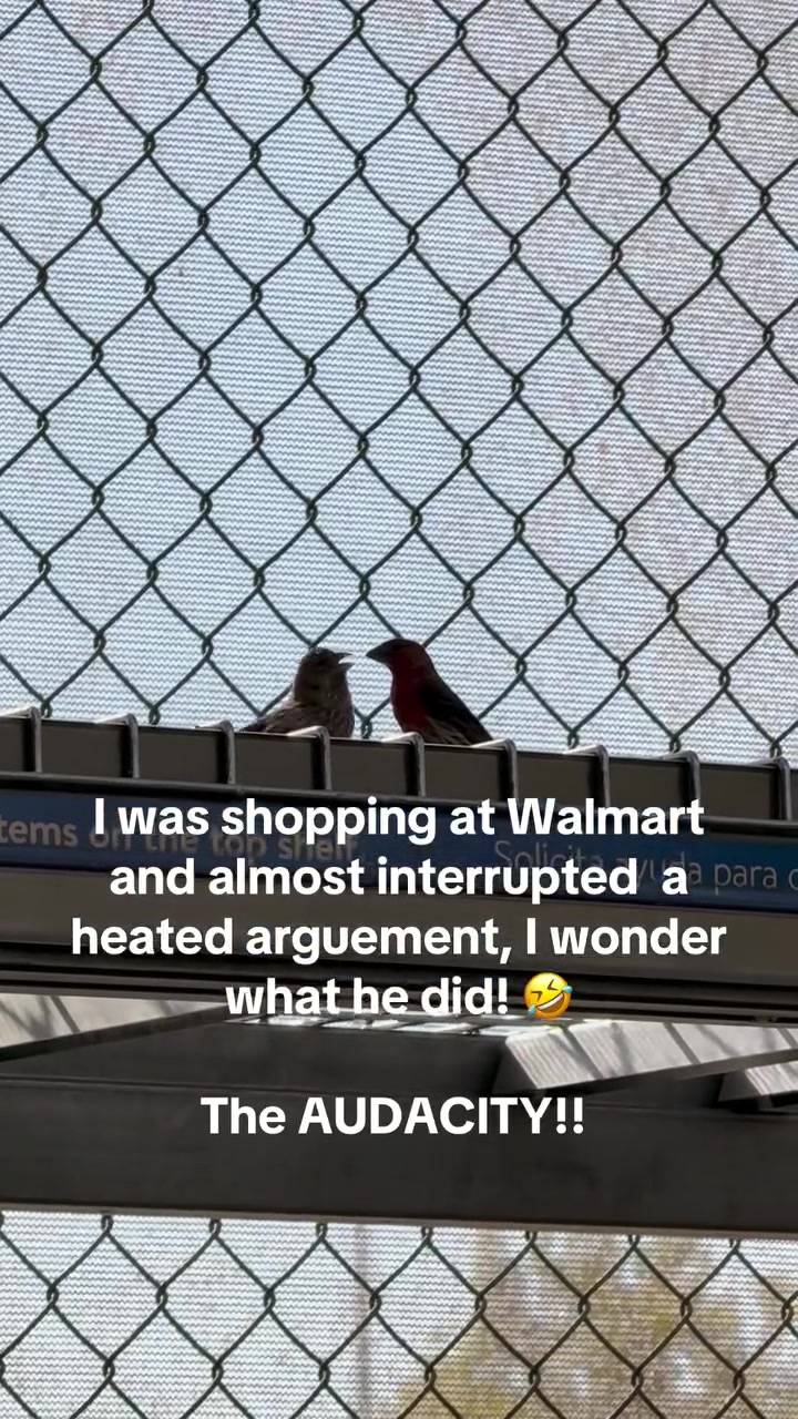 @Drewski
