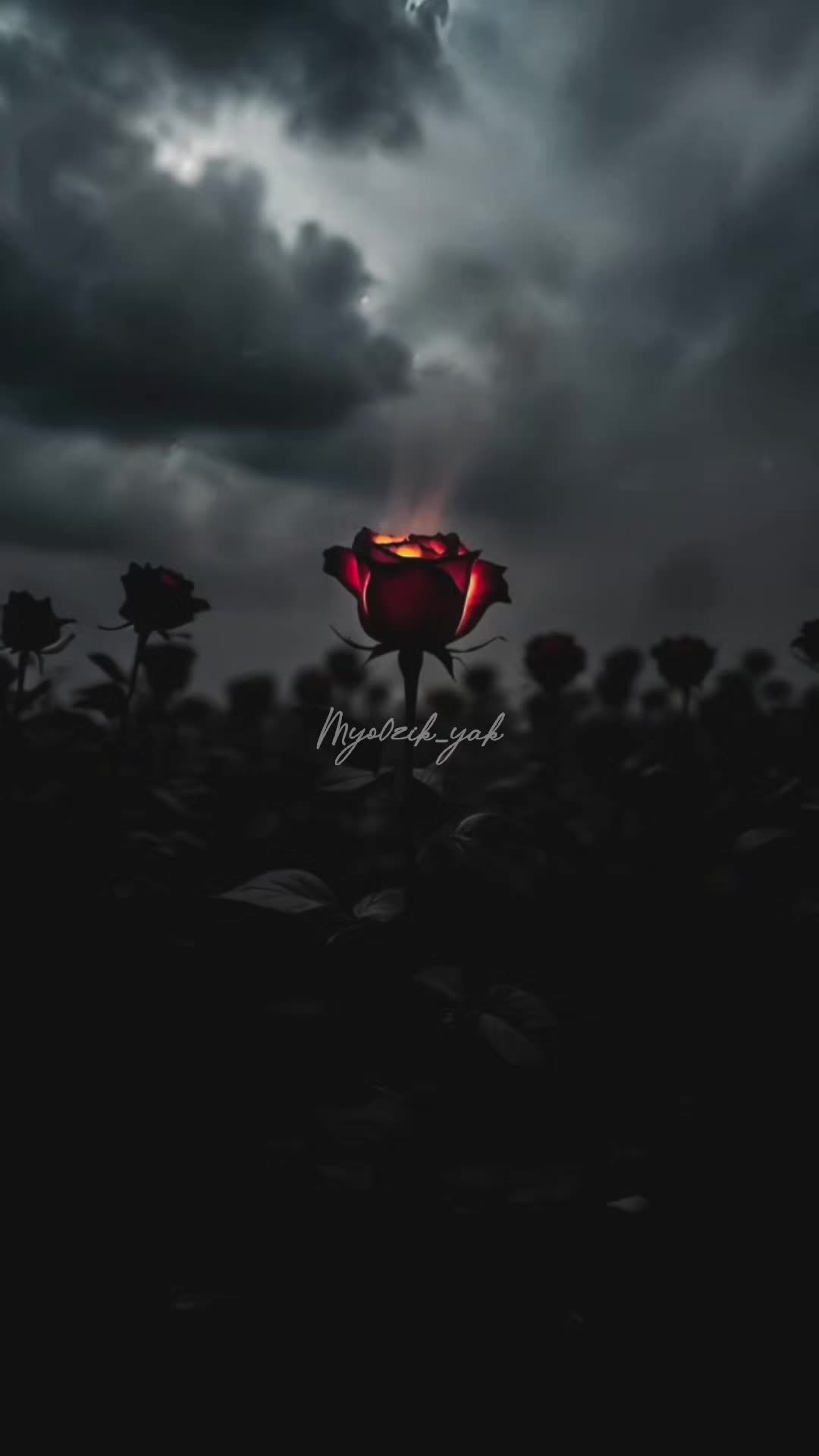 @ꪑꪗꪮ੦ɀỉƙ_ꪗꪖƙ ♪♫♬ 🧬