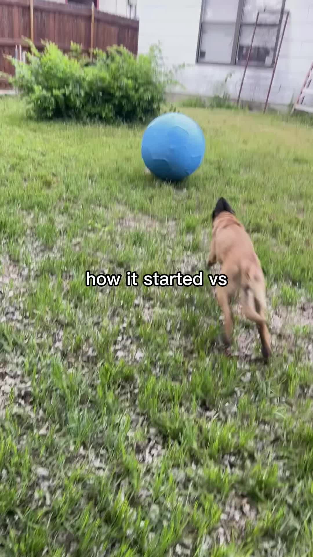 @lifeafter_loss