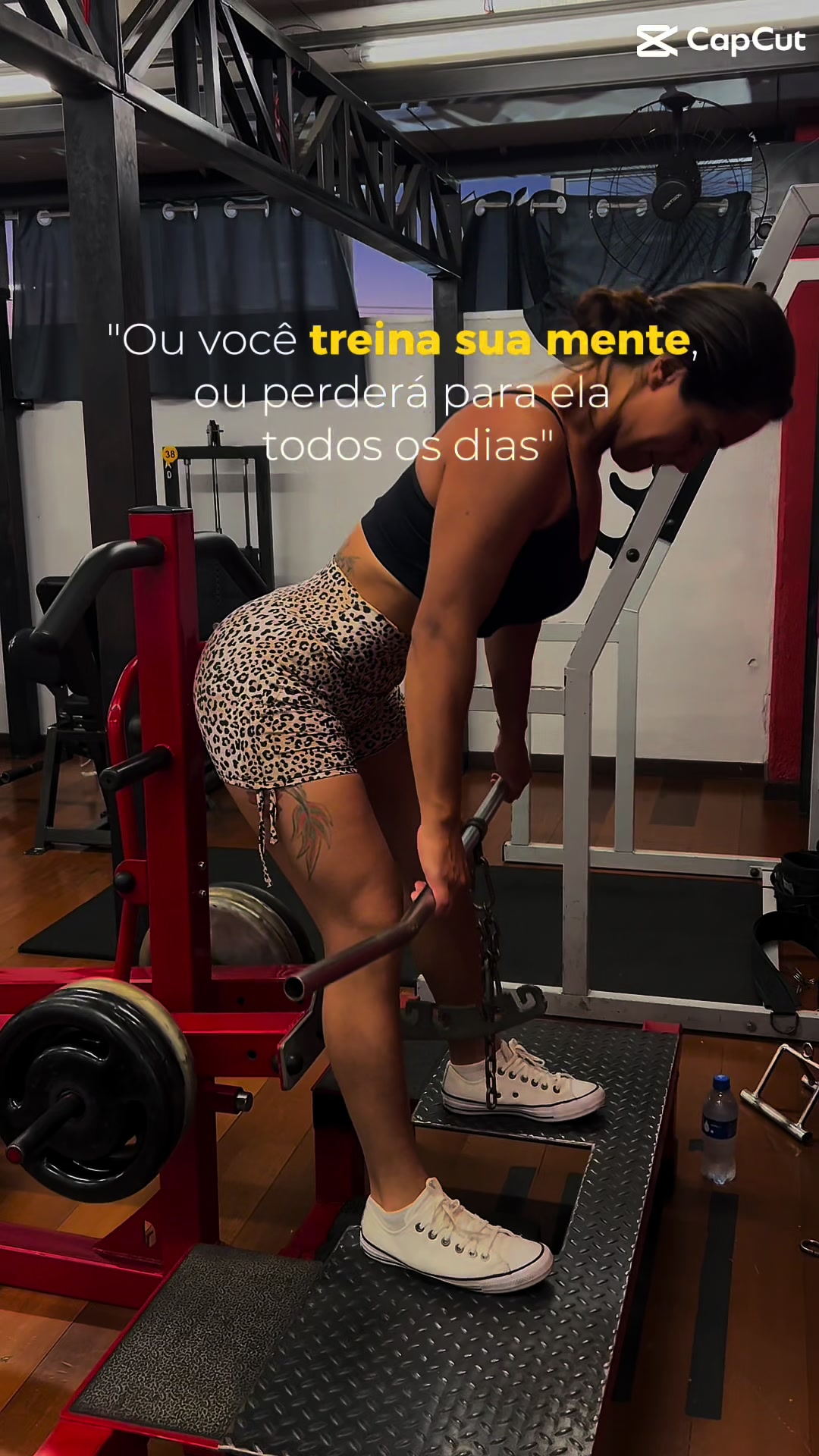 @Vanessa Santos