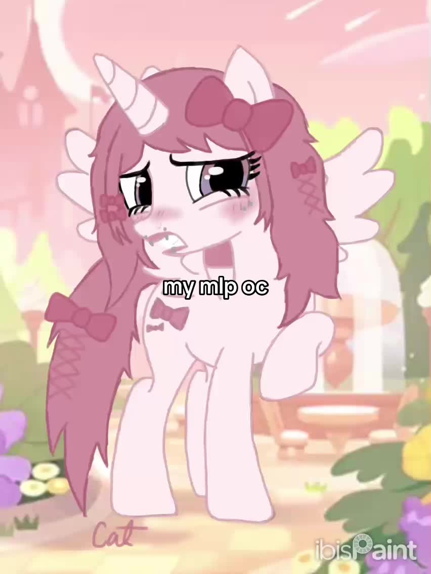 @猫