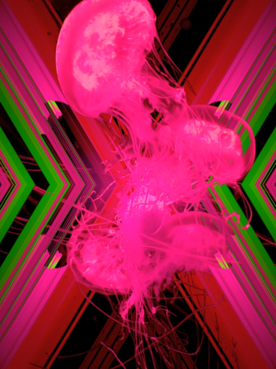 @Fractal Illusionist