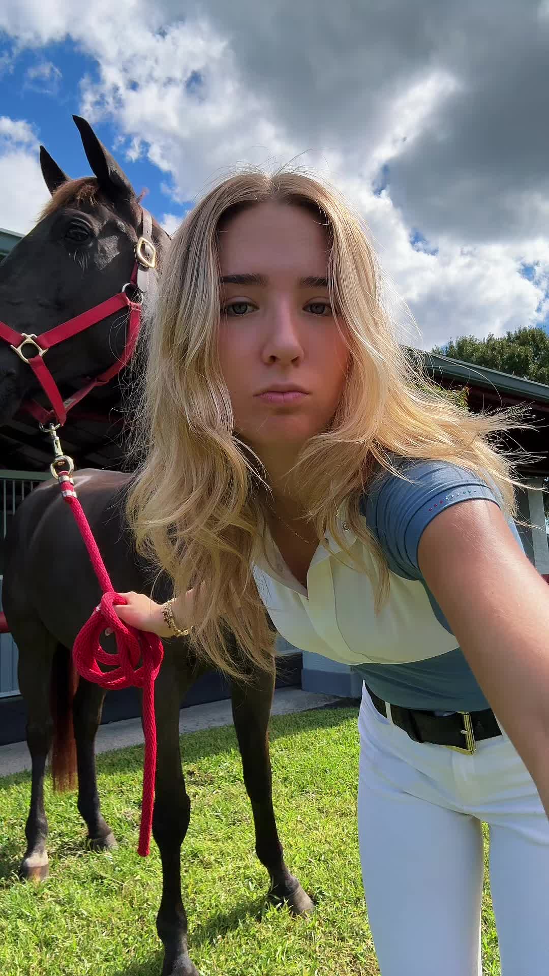 @hailee roy