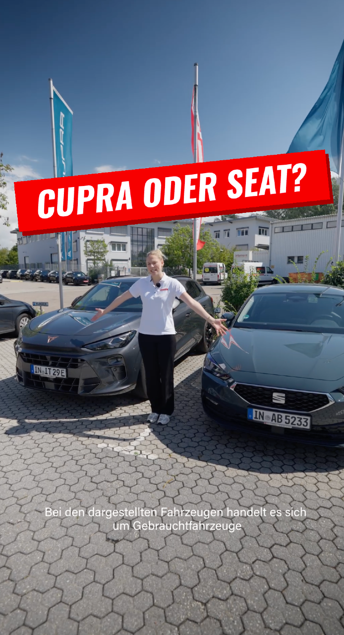 @Auto Bierschneider