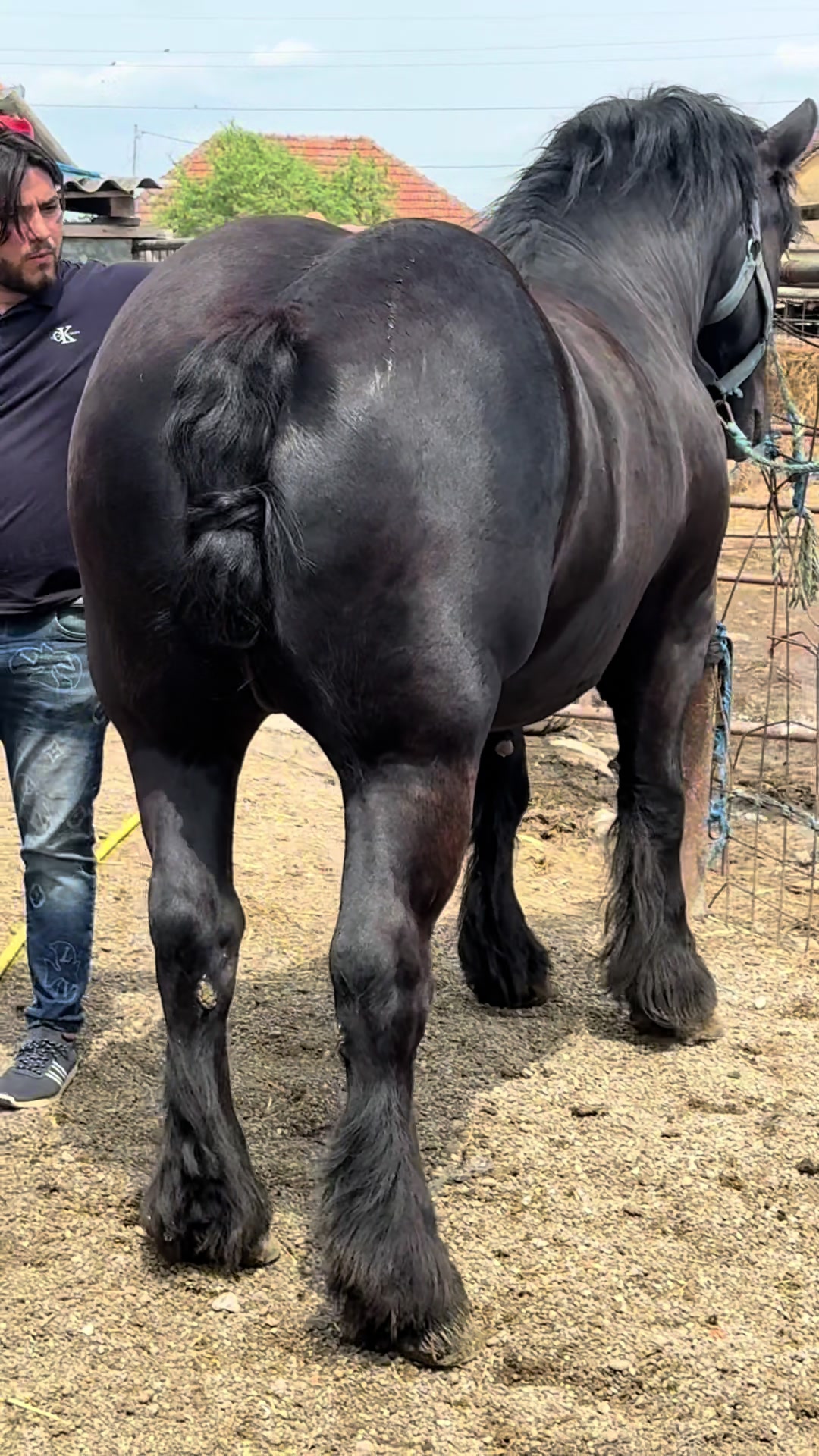 @🐴Spartanu🐴