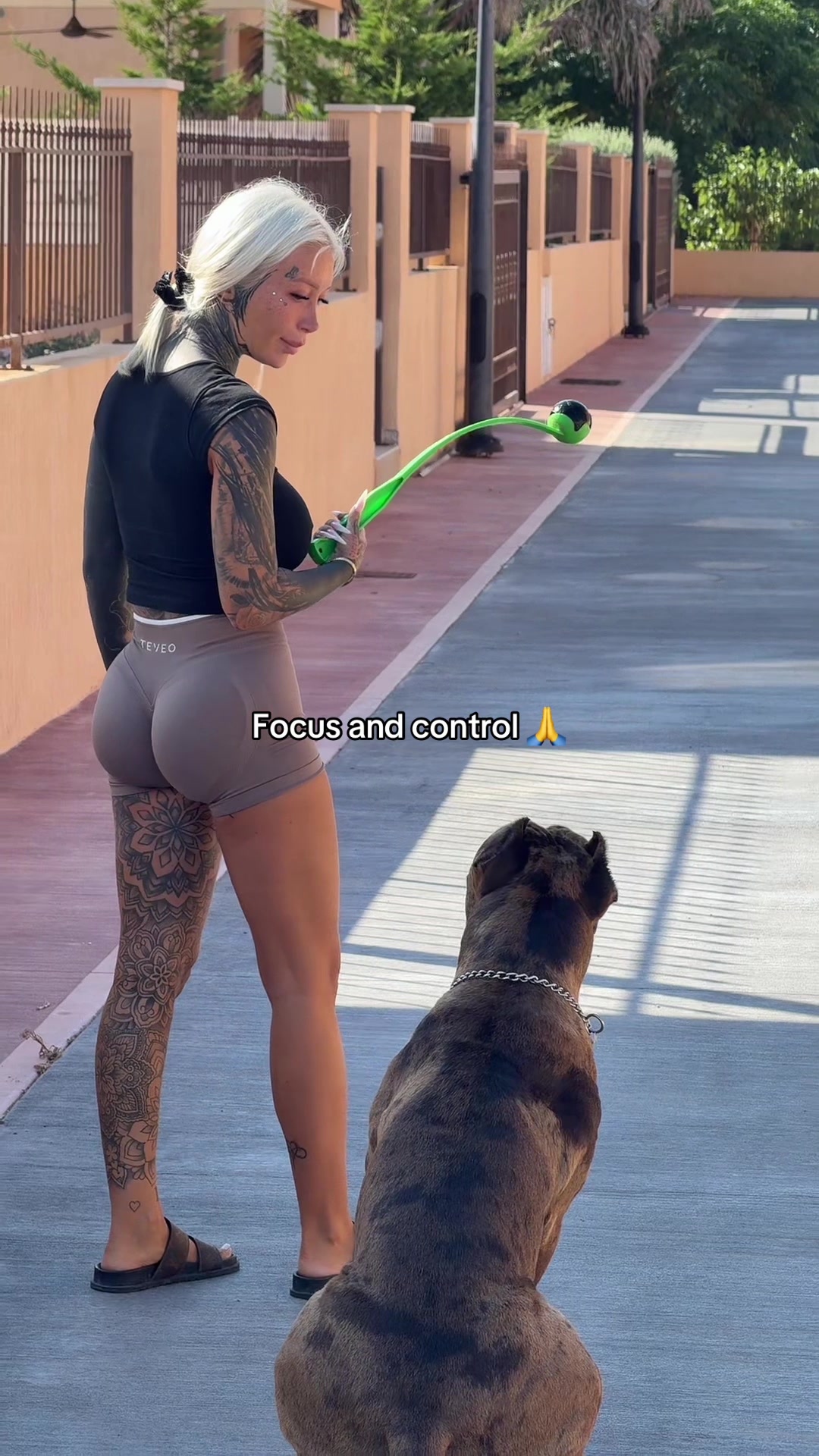 @bad.xlucyy