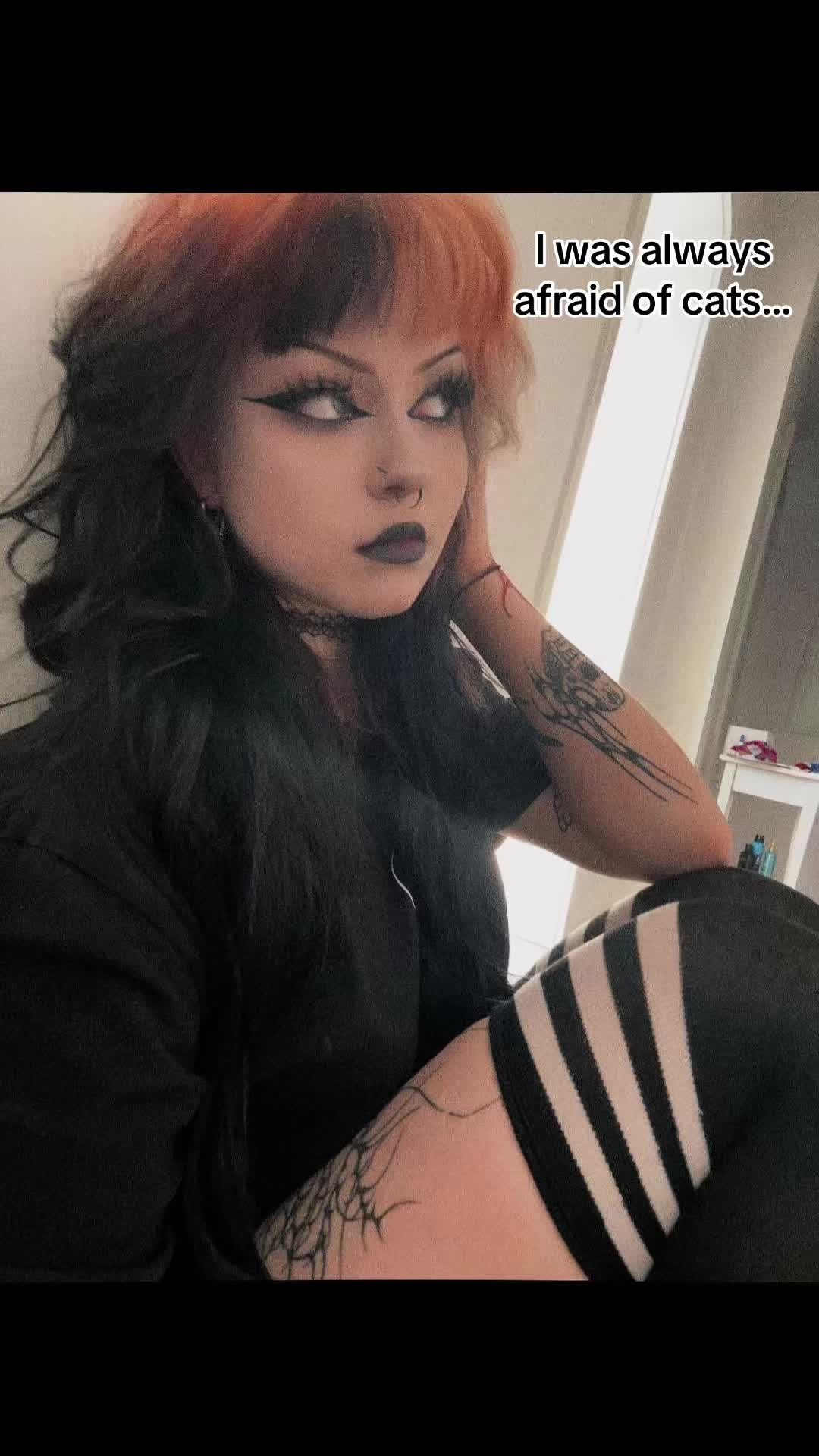 @lar.n0ir