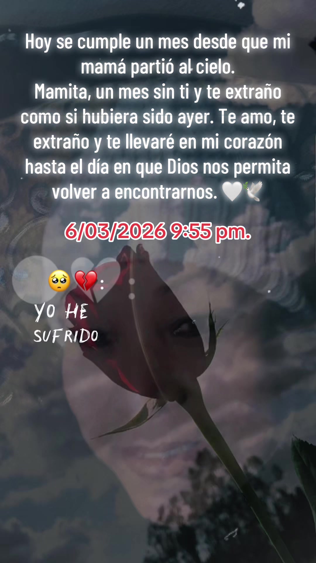 @❣️Kary❣️