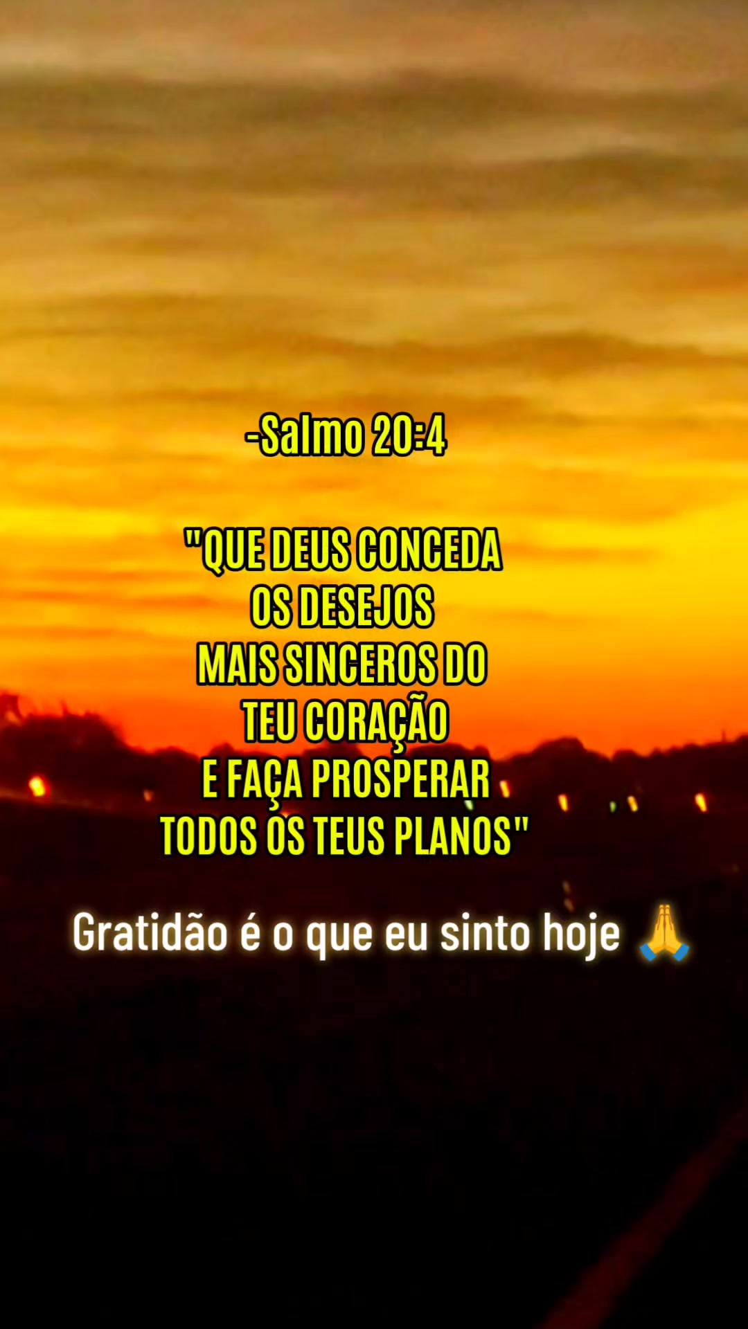@karla Rodrigues