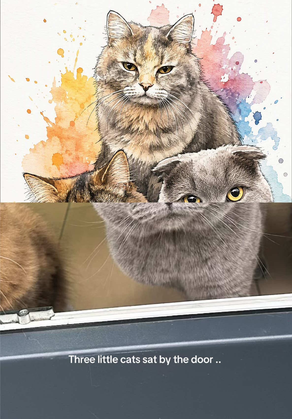 @Perla and cats