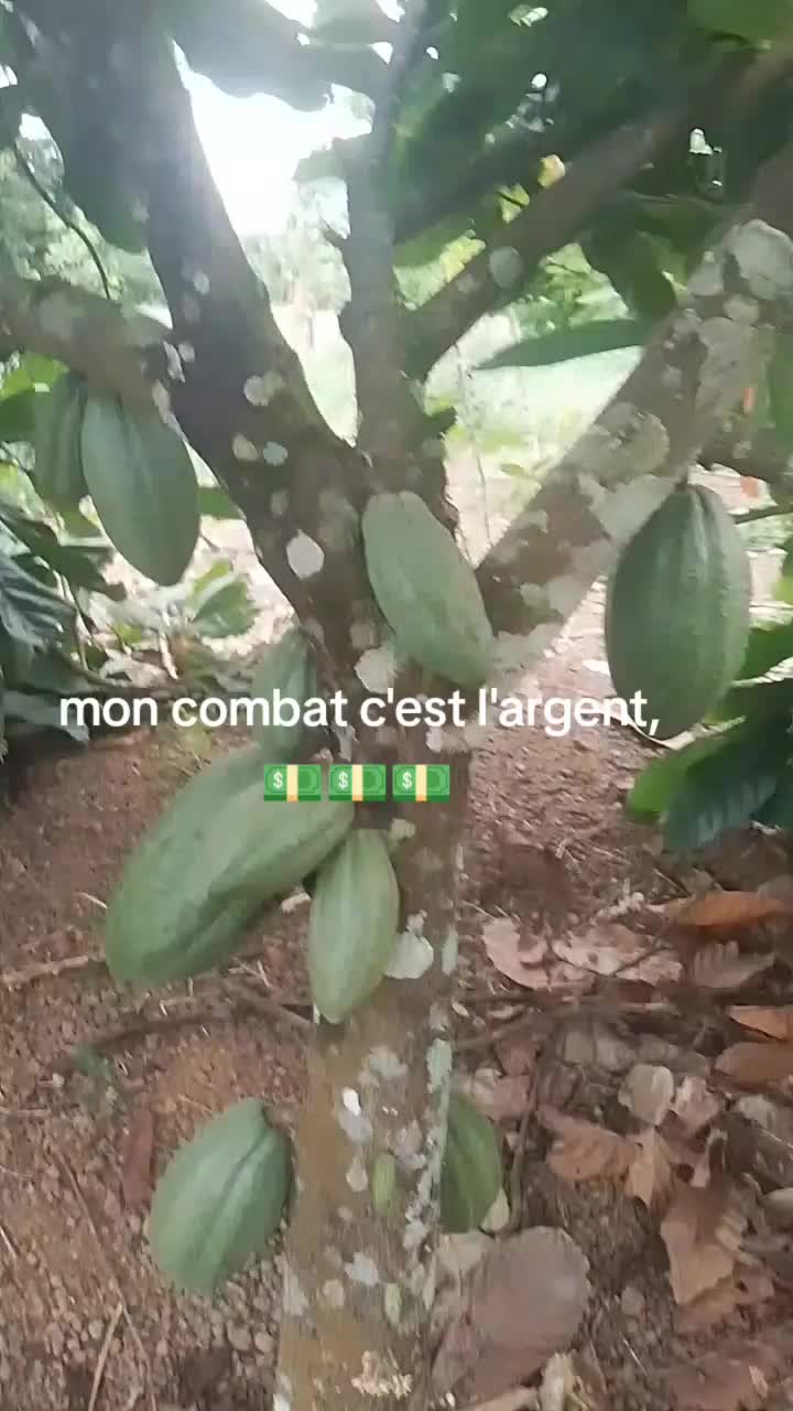@sib sie Lazare 1er