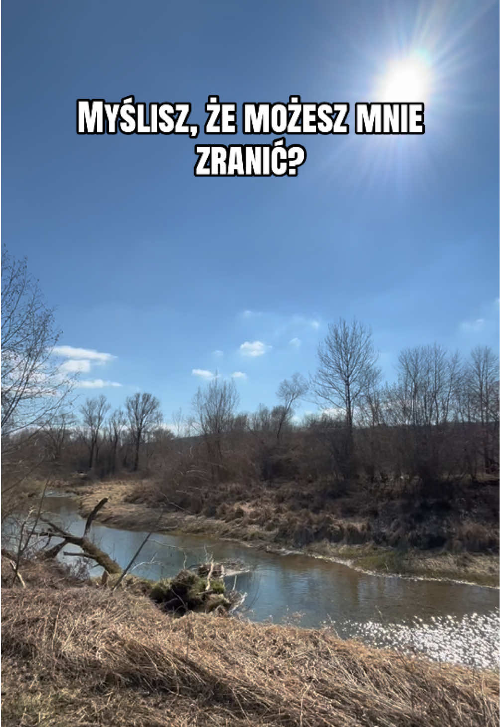 @Harmonia Jeździectwa