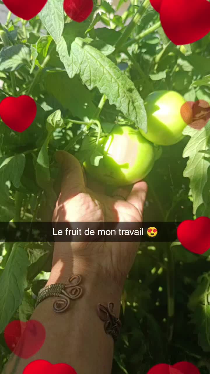 @tifolette