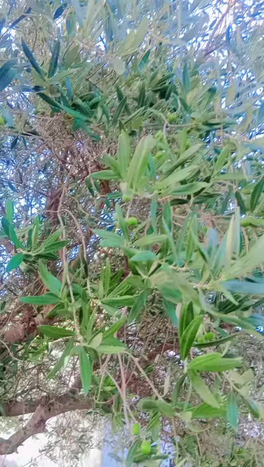 @🌷🦋Mukta 🦋🌺