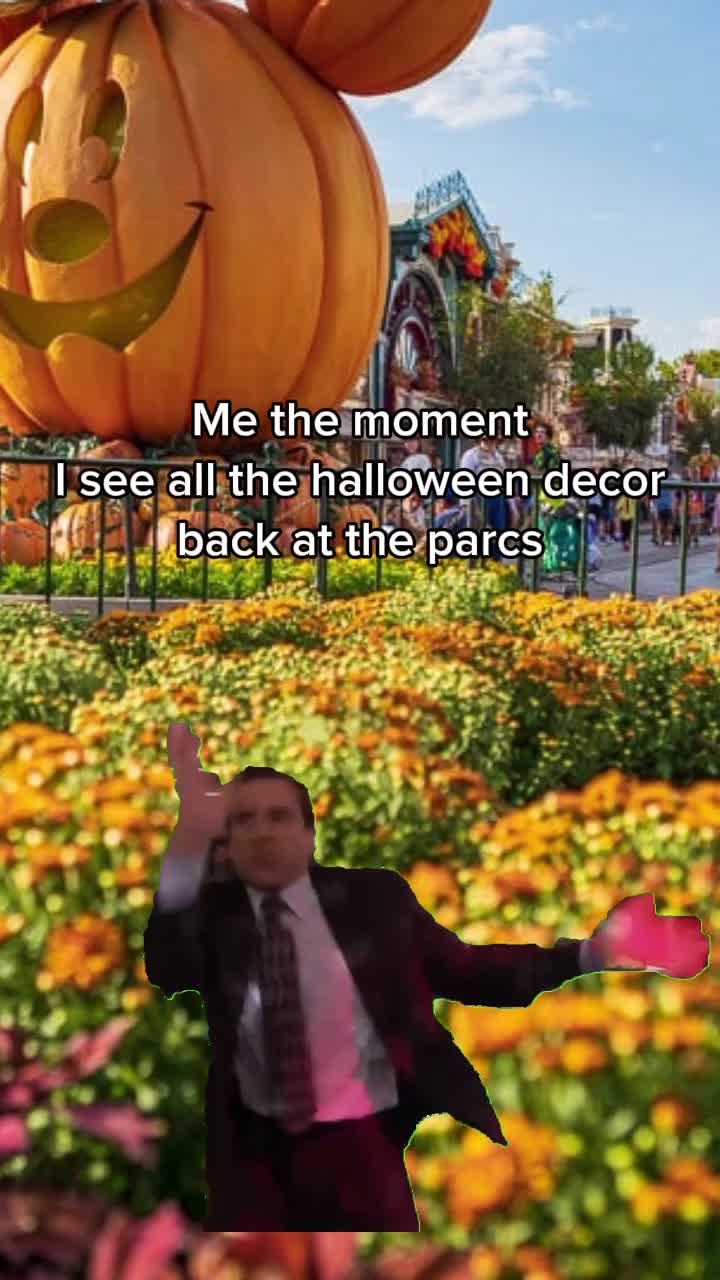 @DutchDisneyDude