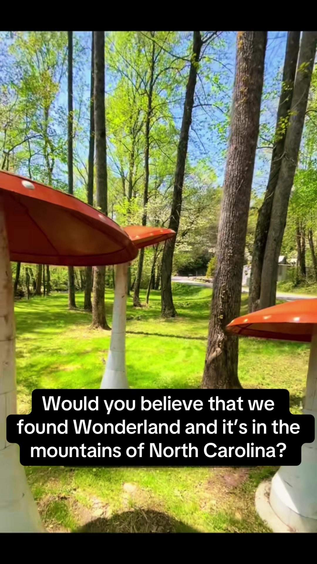 @Ann the Adventurer