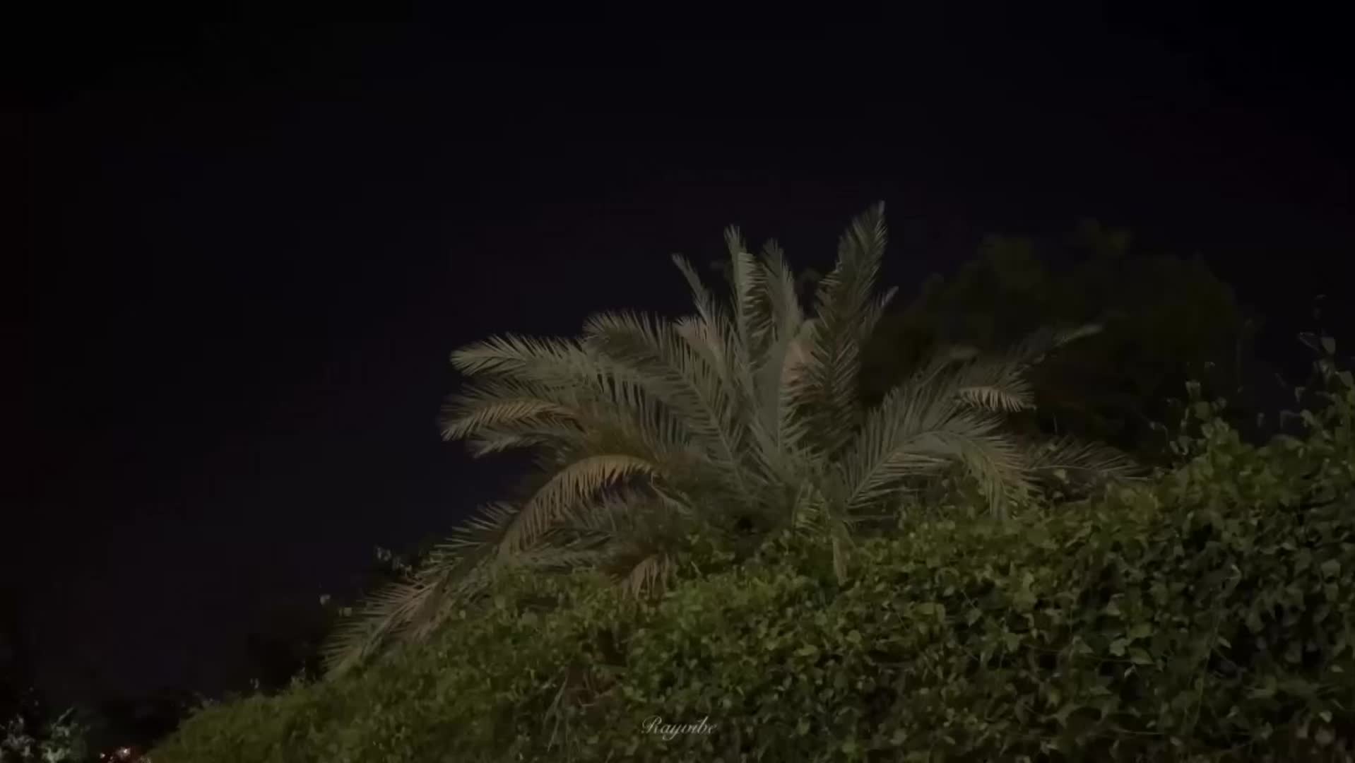 @rayvibe