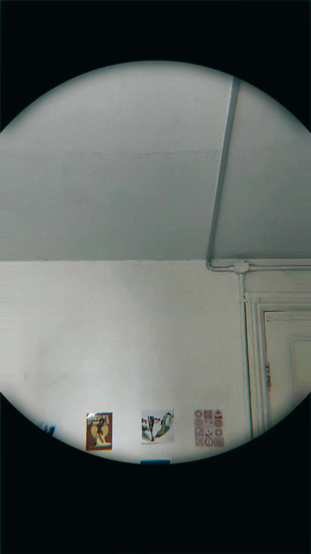 @AlexanderGarred_