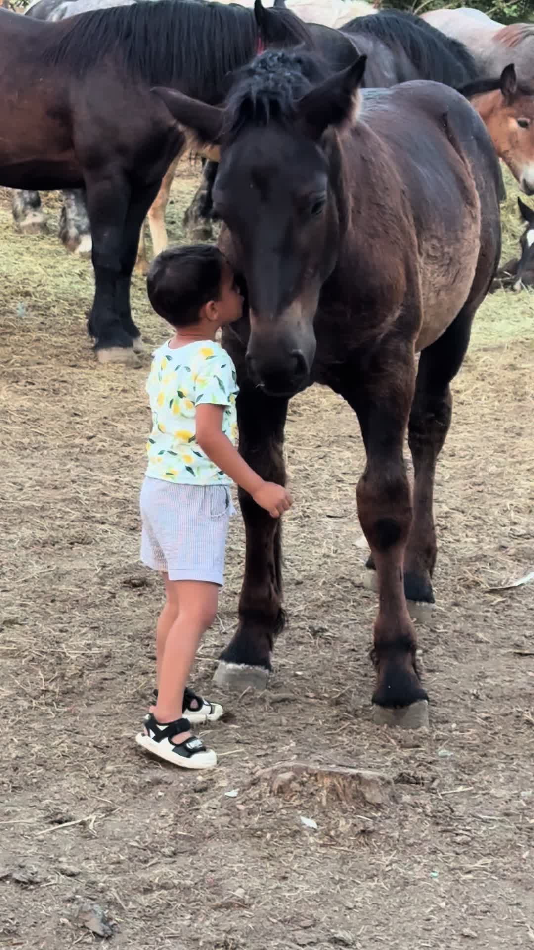 @🐴Spartanu🐴