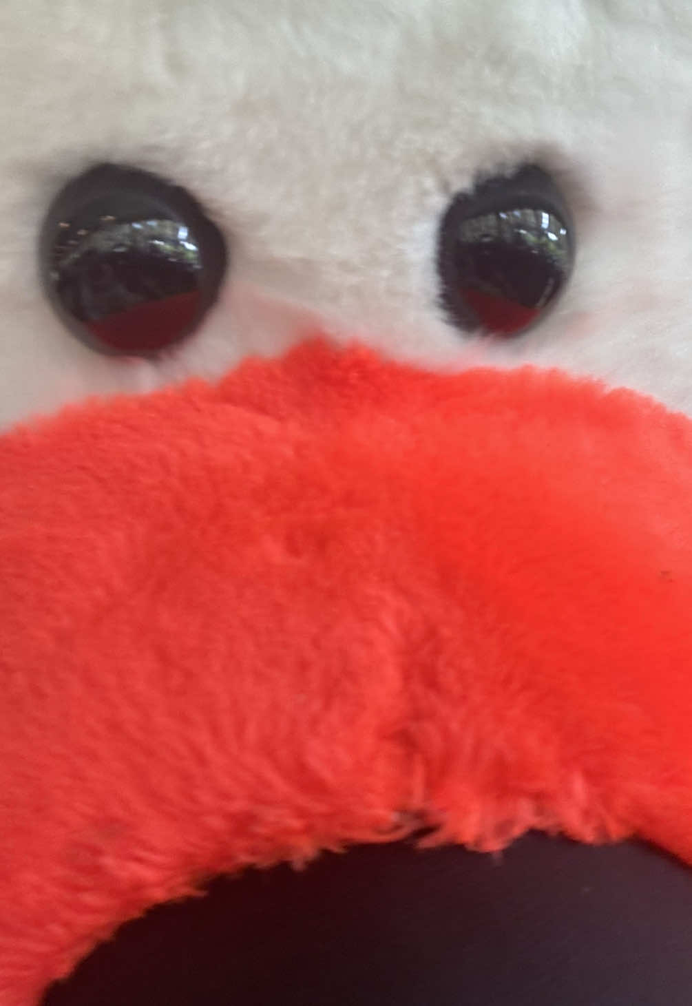 @ᴀʟɪʏᴀɴᴀᥫ᭡.