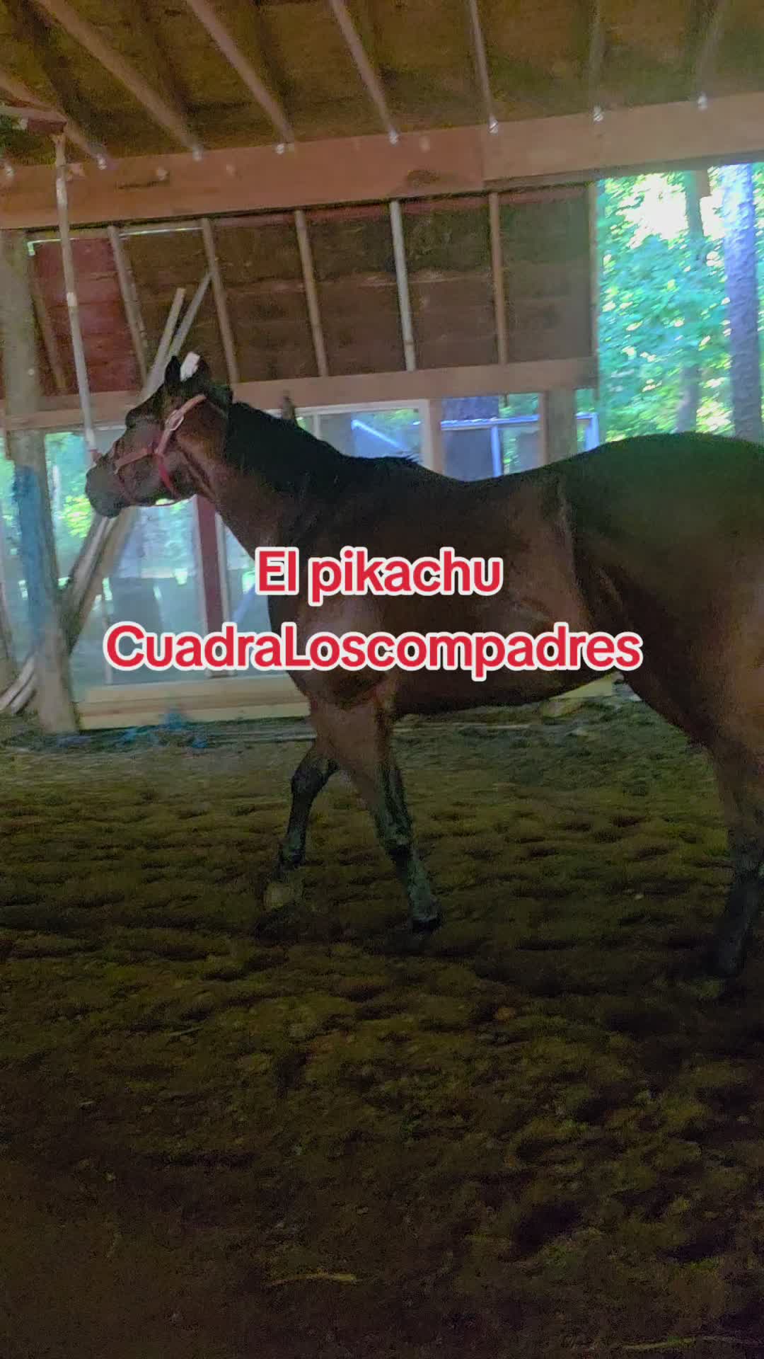 @Rosa Ramirez