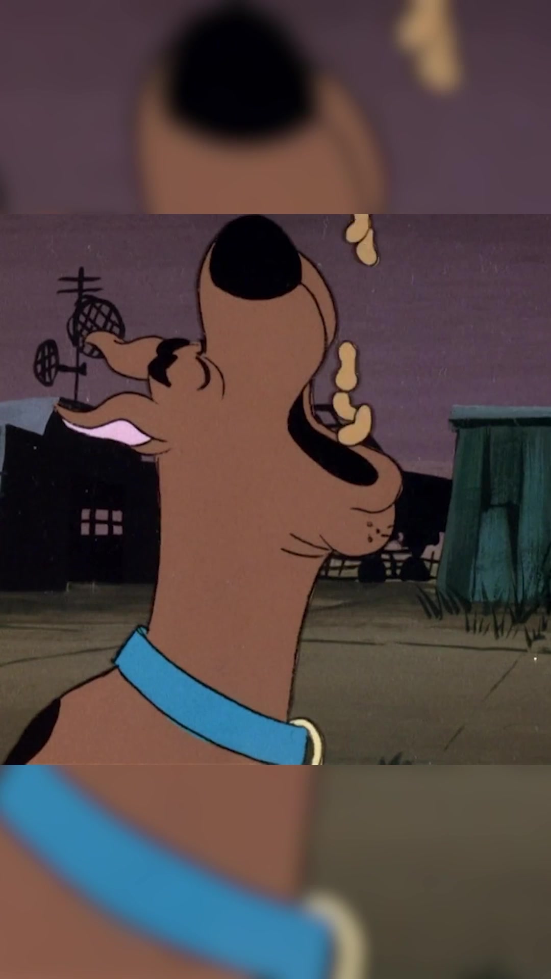 @Scooby–Doo