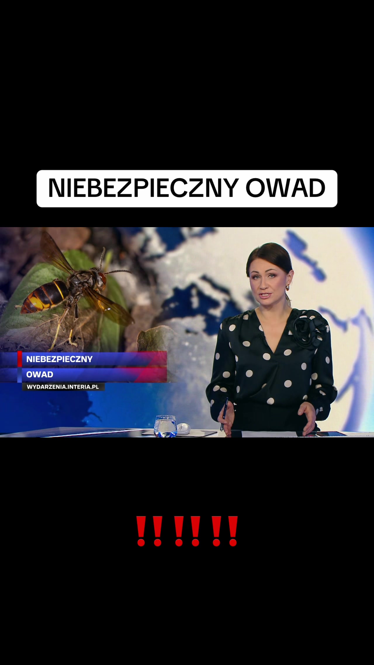 @Wydarzenia 24