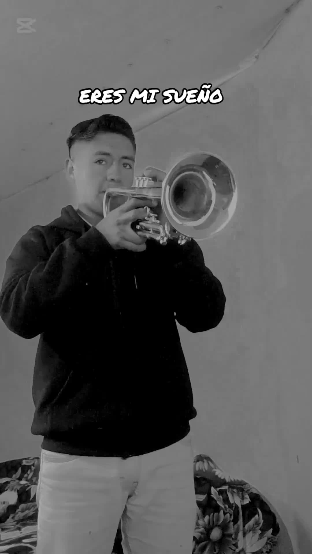 @🎺VERIAO🎺