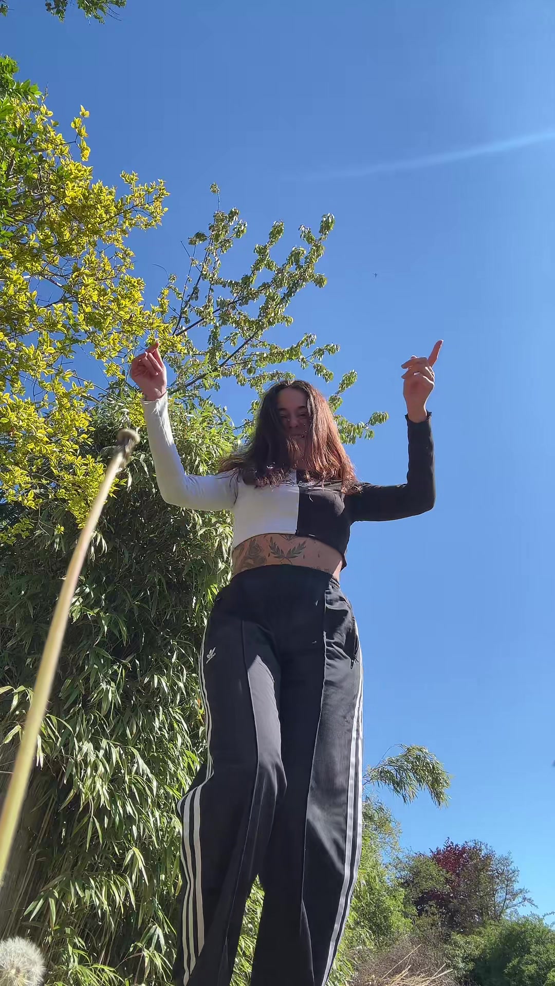 @_chanihoney