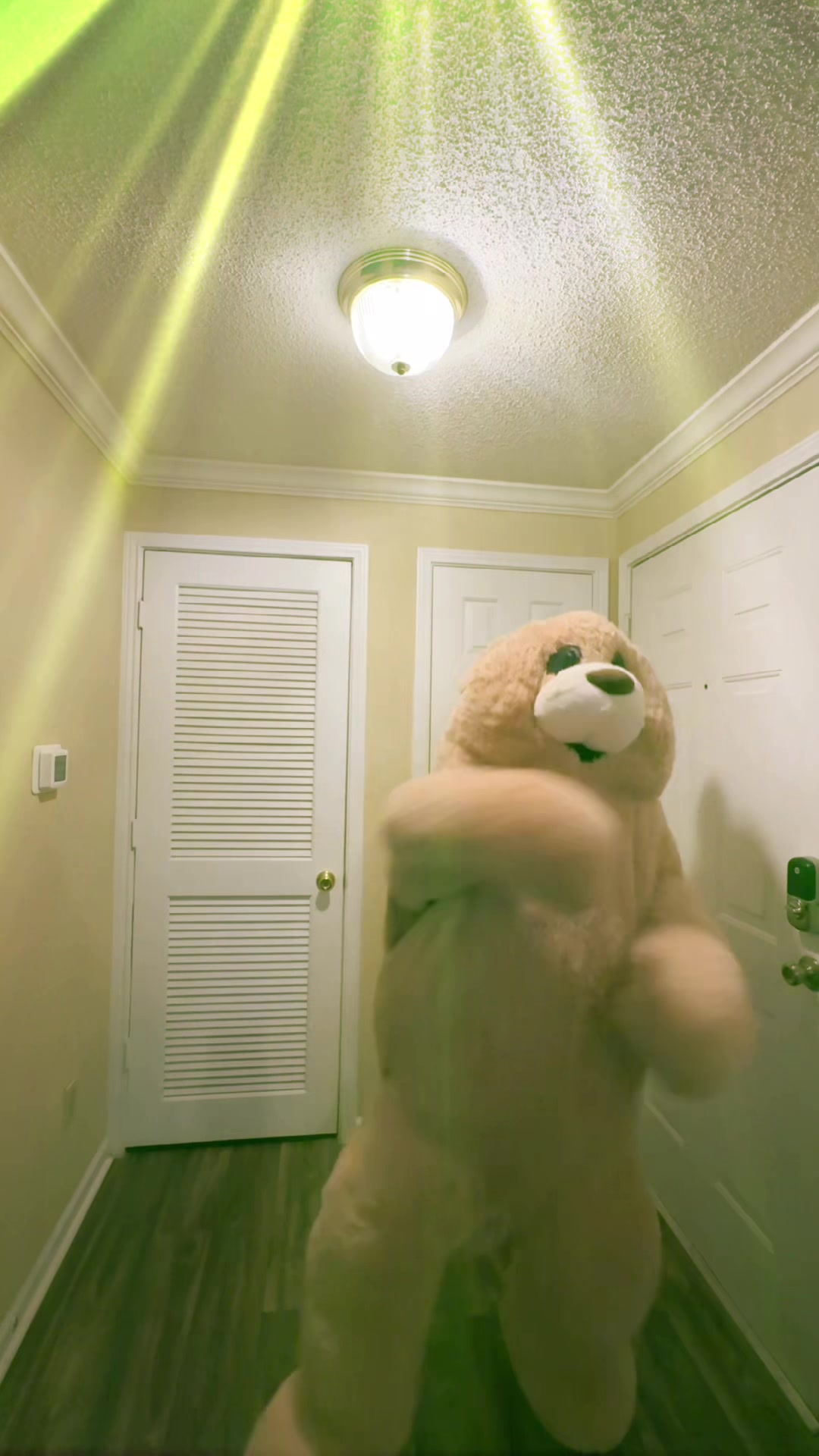 @jaythedancingbear