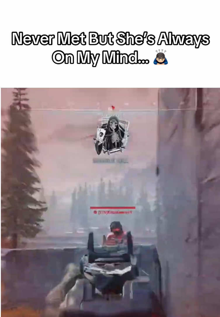 @L I T ⊹