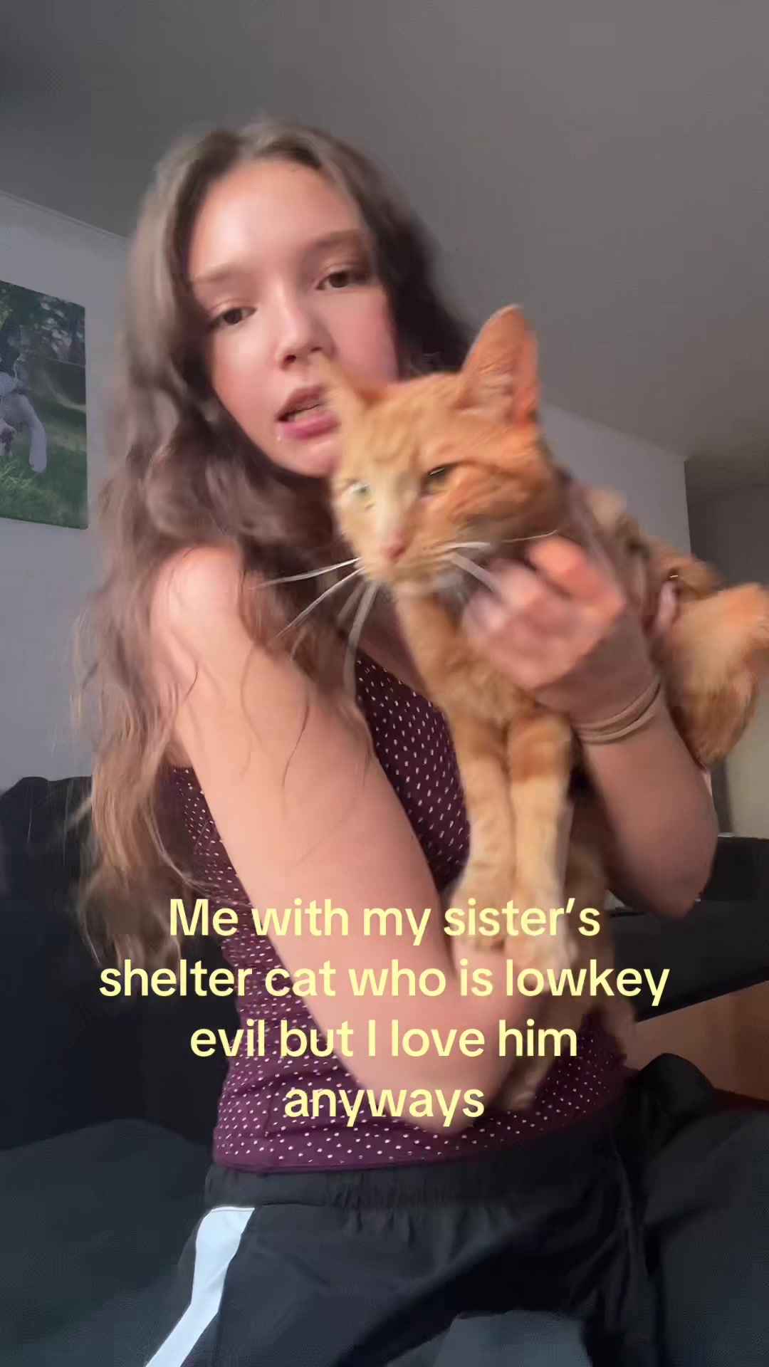 @haleylovesarminarlert