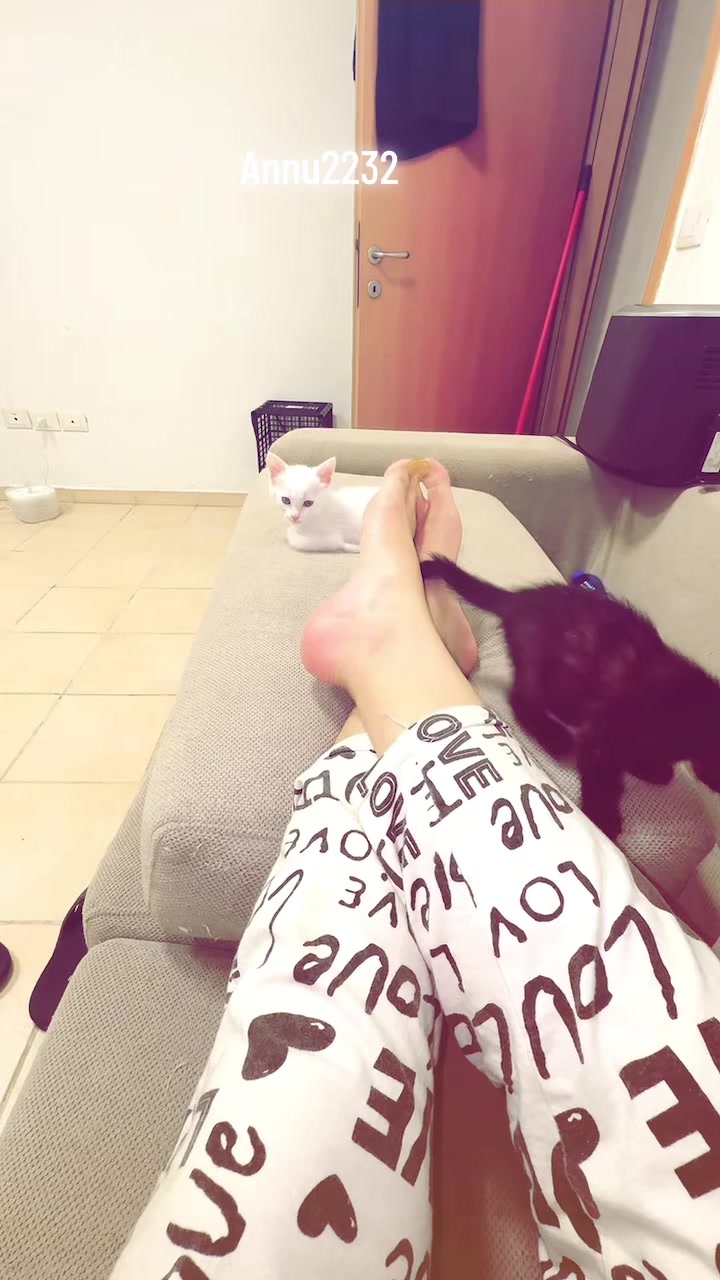 @annu_2232