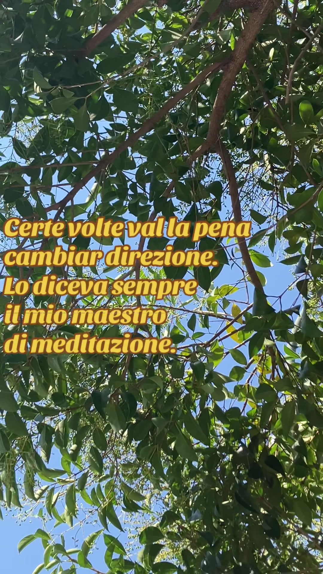 @Massimo Donà
