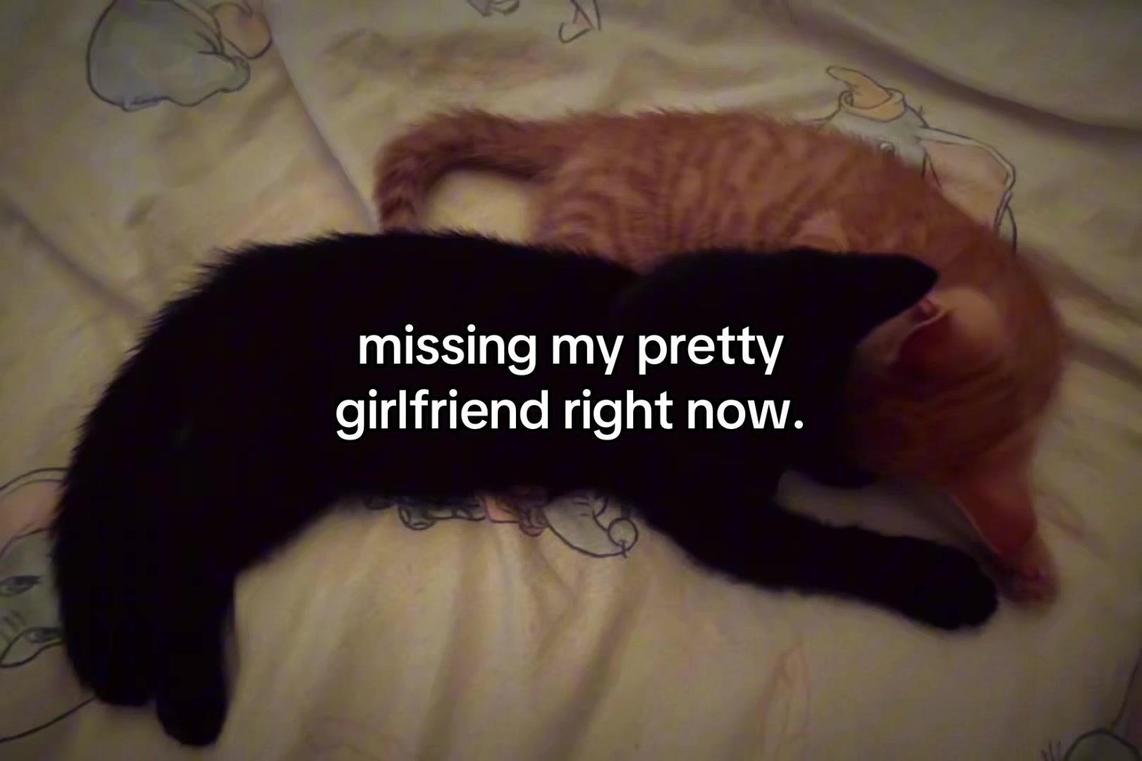 @sxalenz