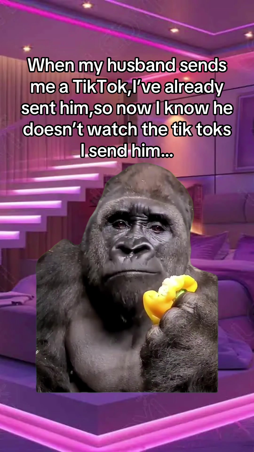 @meme