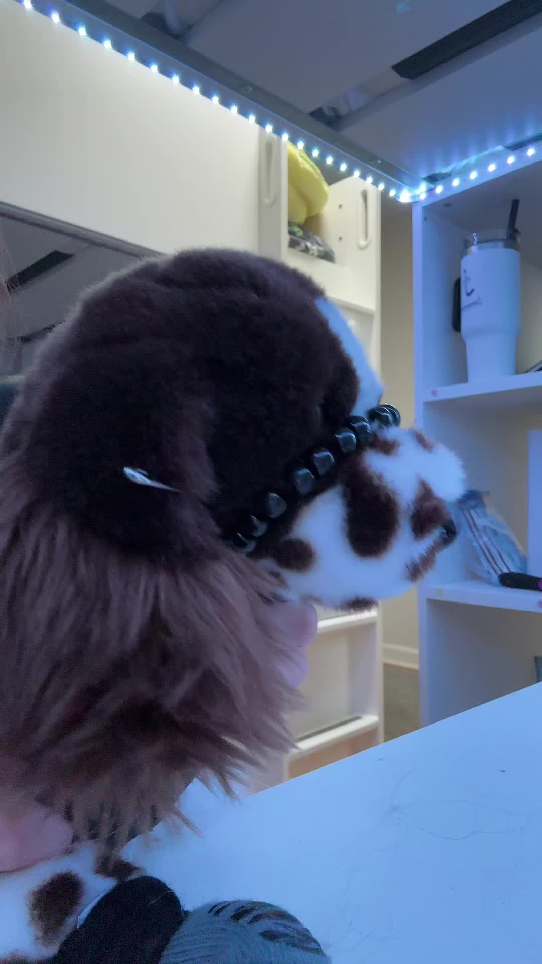 @pupplace