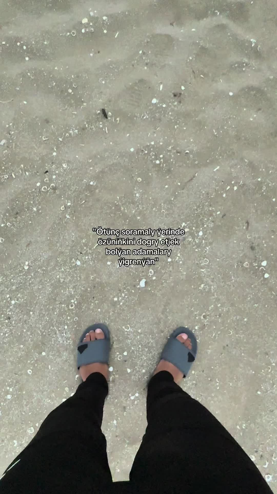 @🤼
