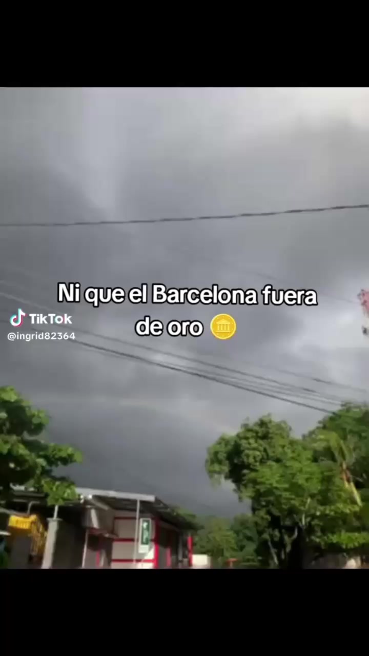 @fan de taylaa
