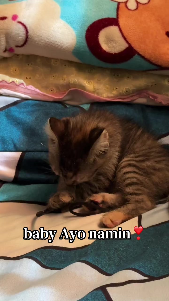 @️ྀིྀི ྀིྀི :)