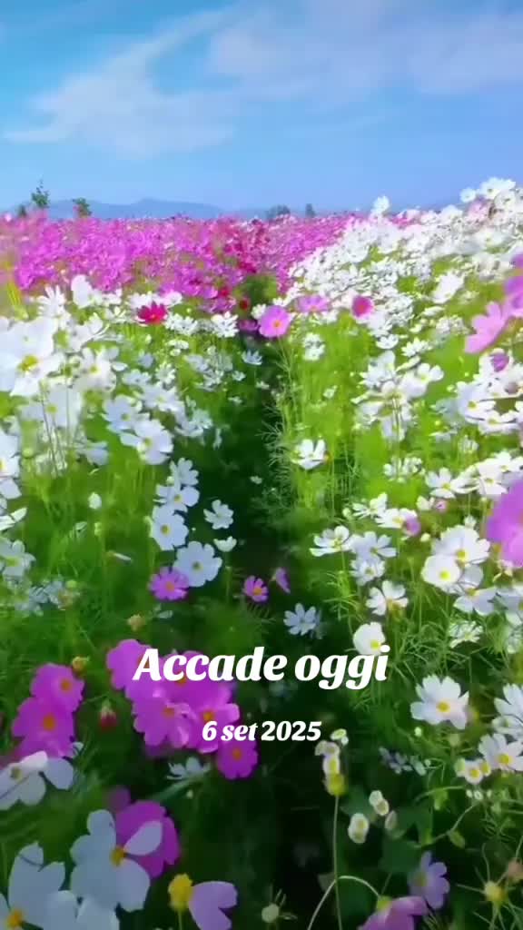 @GIULLIA FATA DE LA IA IASI