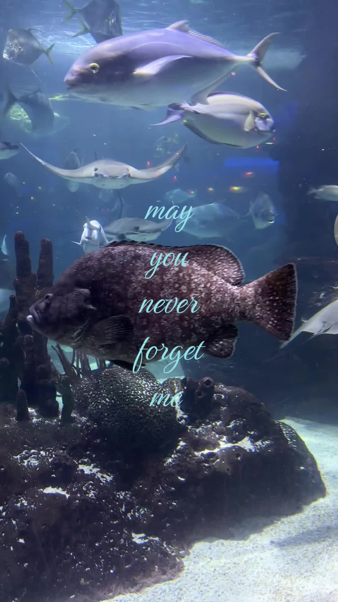 @ℳ&hearts;︎
